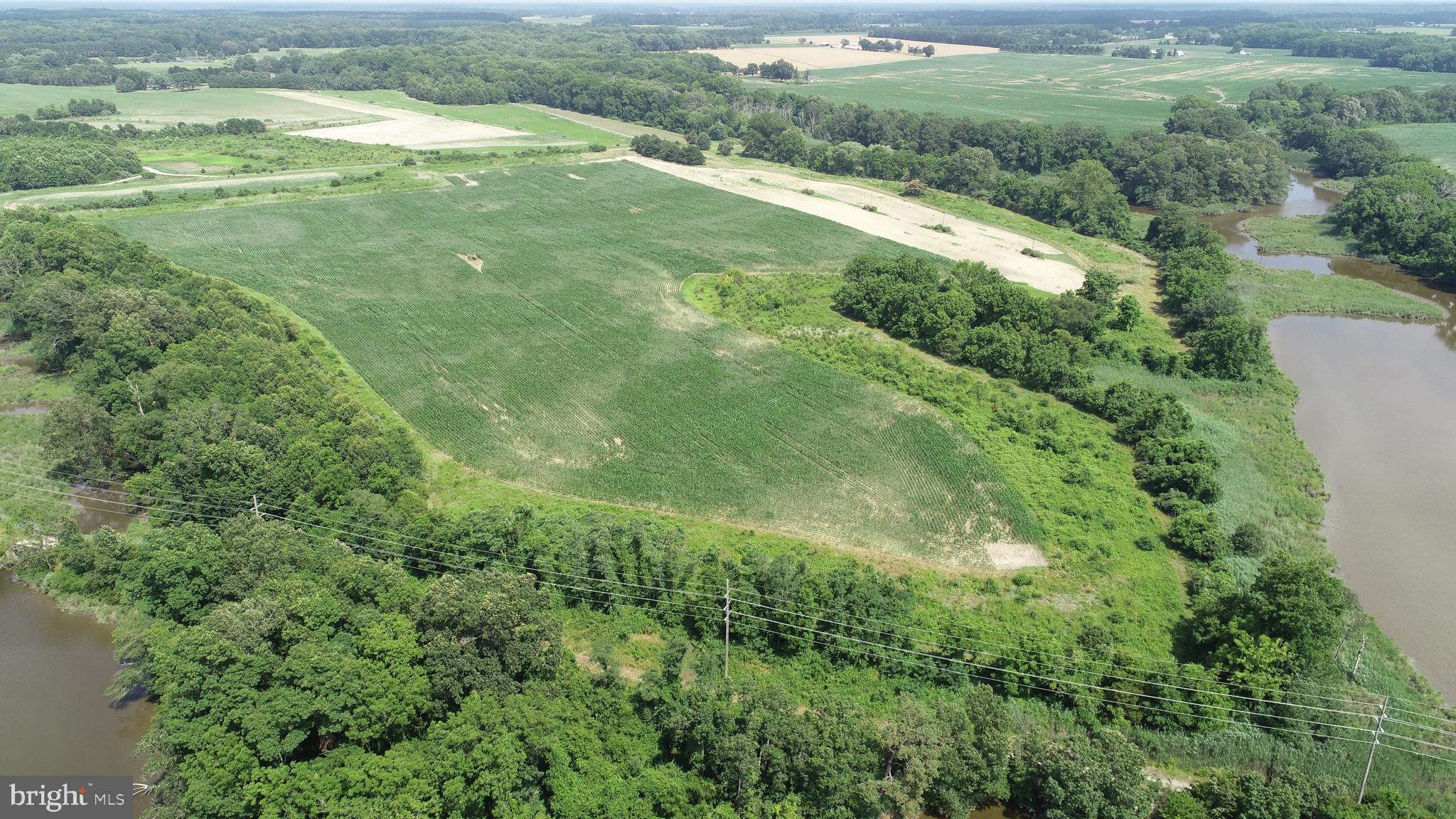 6150 Oxford Road Easton, MD 21601 - Photo 5 of 52 a view of an outdoor space and a yard