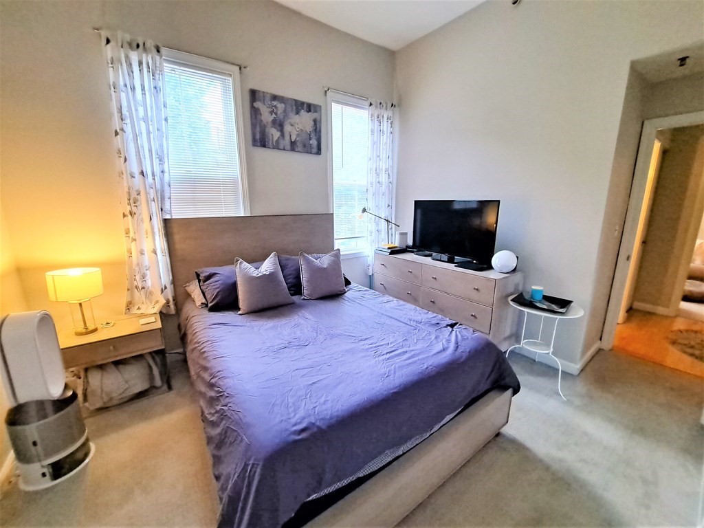 49 Cedar Street, Unit 1 REAR Boston, MA 02119 - Photo 12 of 15