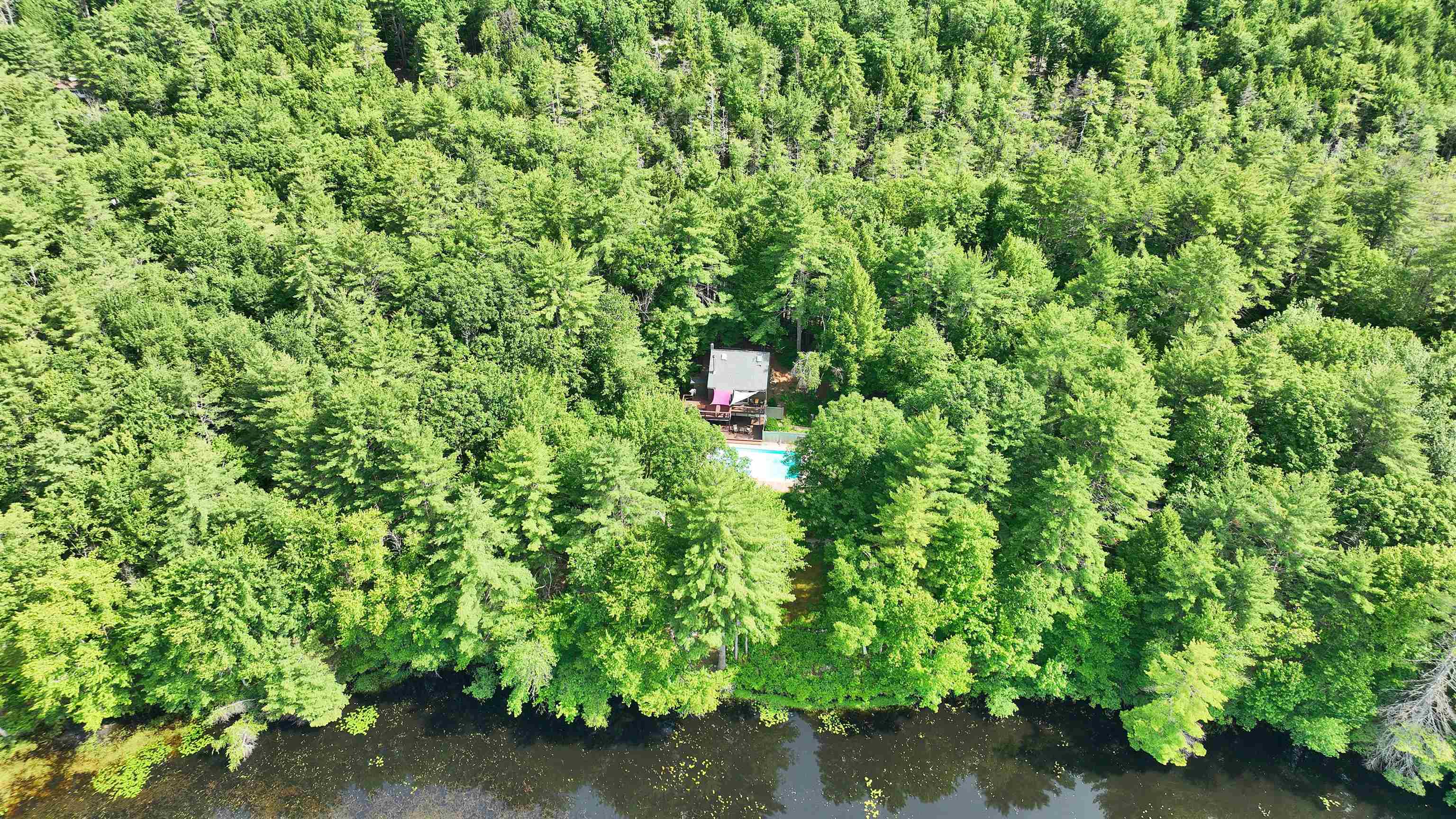 261 Forest Road Hancock, NH 03449 - Photo 55 of 60