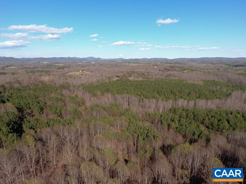 a view of a lush green forest with lots of trees