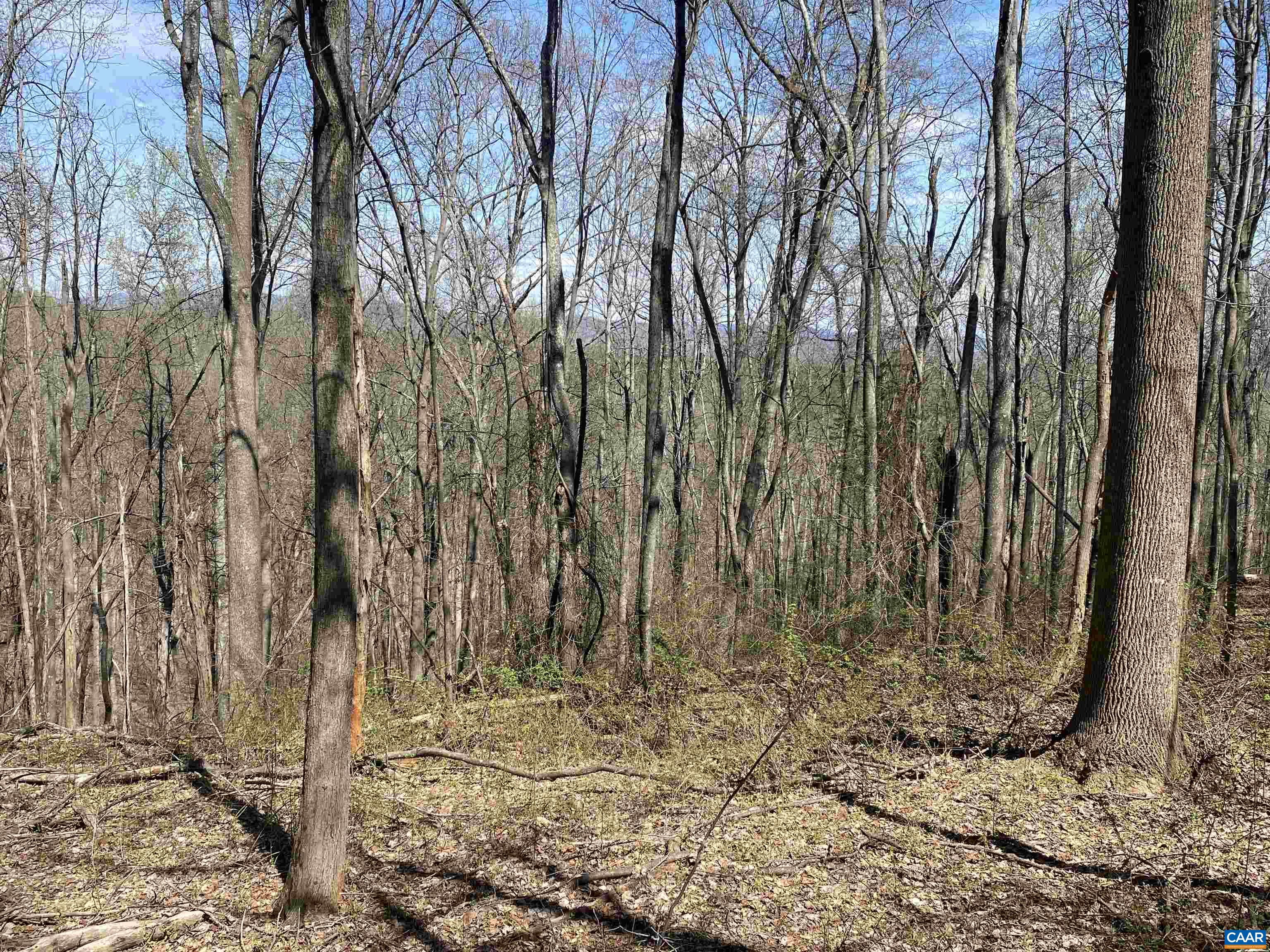 Roses Mill Road Amherst, VA 24521 - Photo 12 of 35 a view of a backyard of the house
