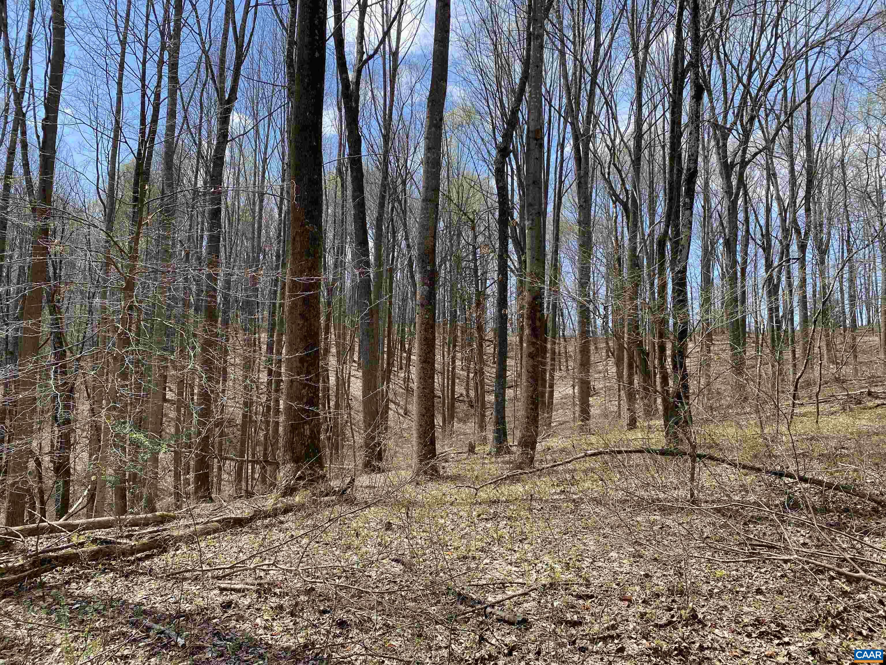 Roses Mill Road Amherst, VA 24521 - Photo 13 of 35 a view of outdoor space with street view