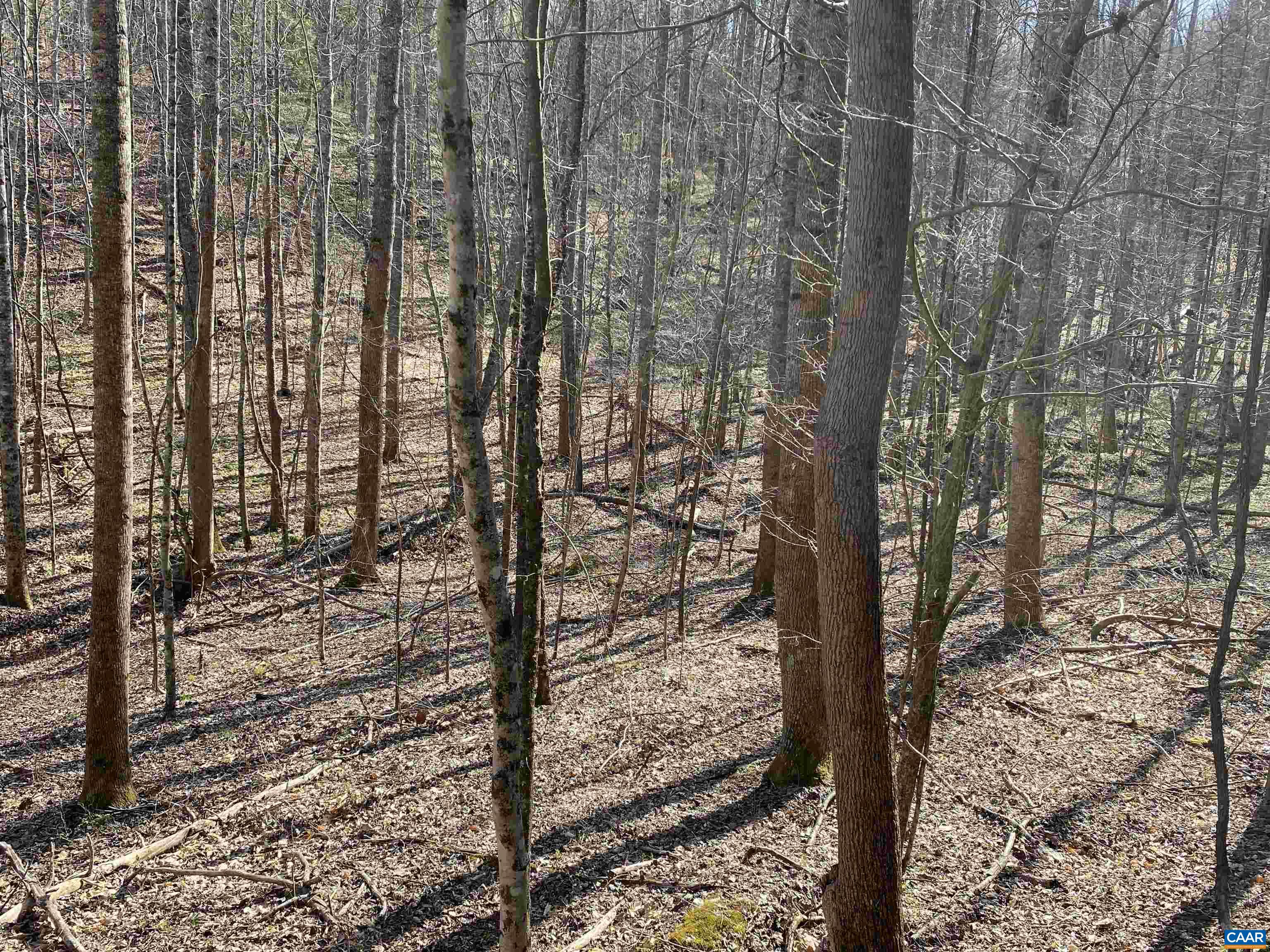 Roses Mill Road Amherst, VA 24521 - Photo 18 of 35