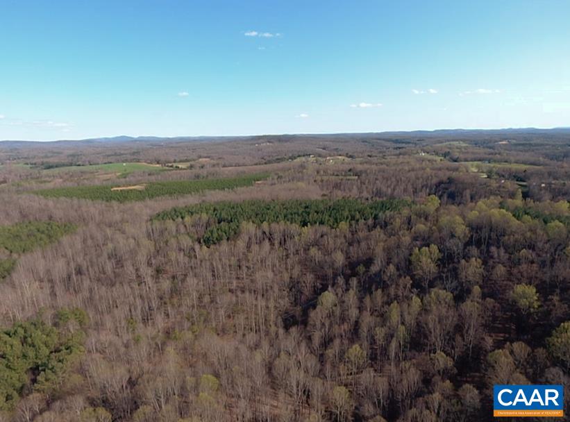 Roses Mill Road Amherst, VA 24521 - Photo 2 of 35 a view of a dry yard with mountains