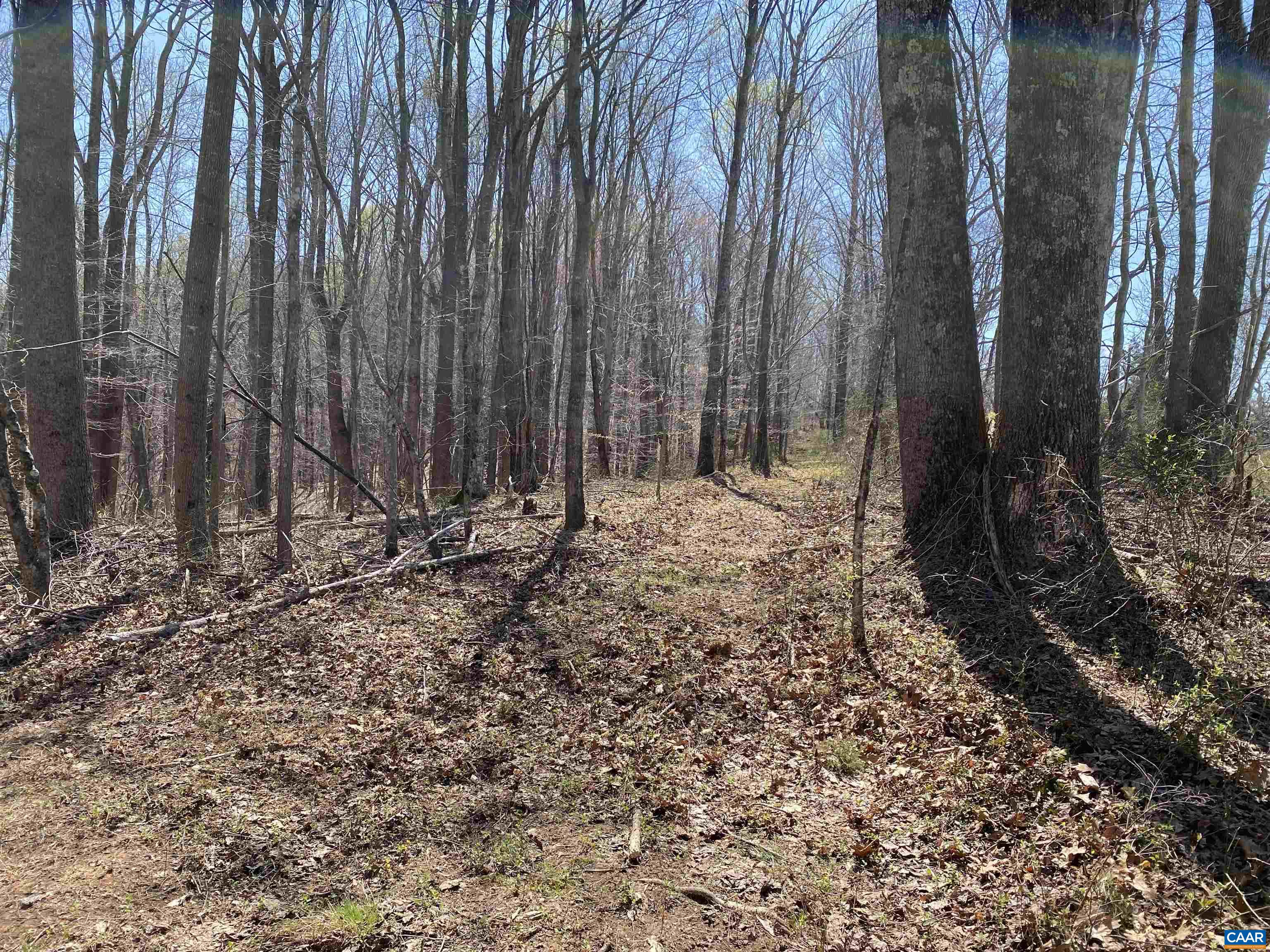 Roses Mill Road Amherst, VA 24521 - Photo 21 of 35 a view of a backyard with large trees
