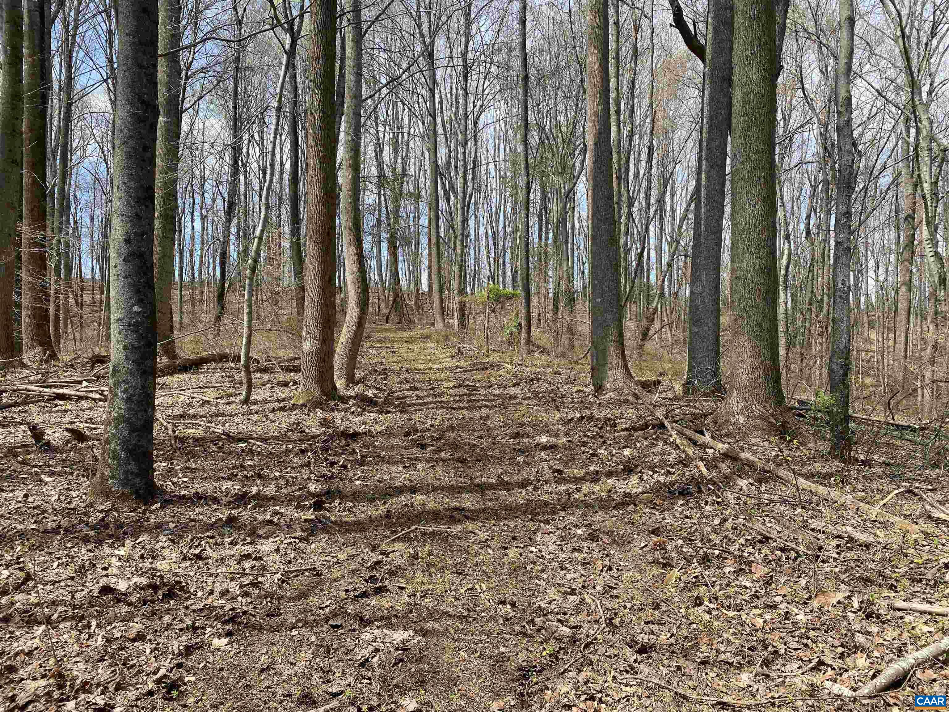 Roses Mill Road Amherst, VA 24521 - Photo 22 of 35 a backyard of a house with lots of green space