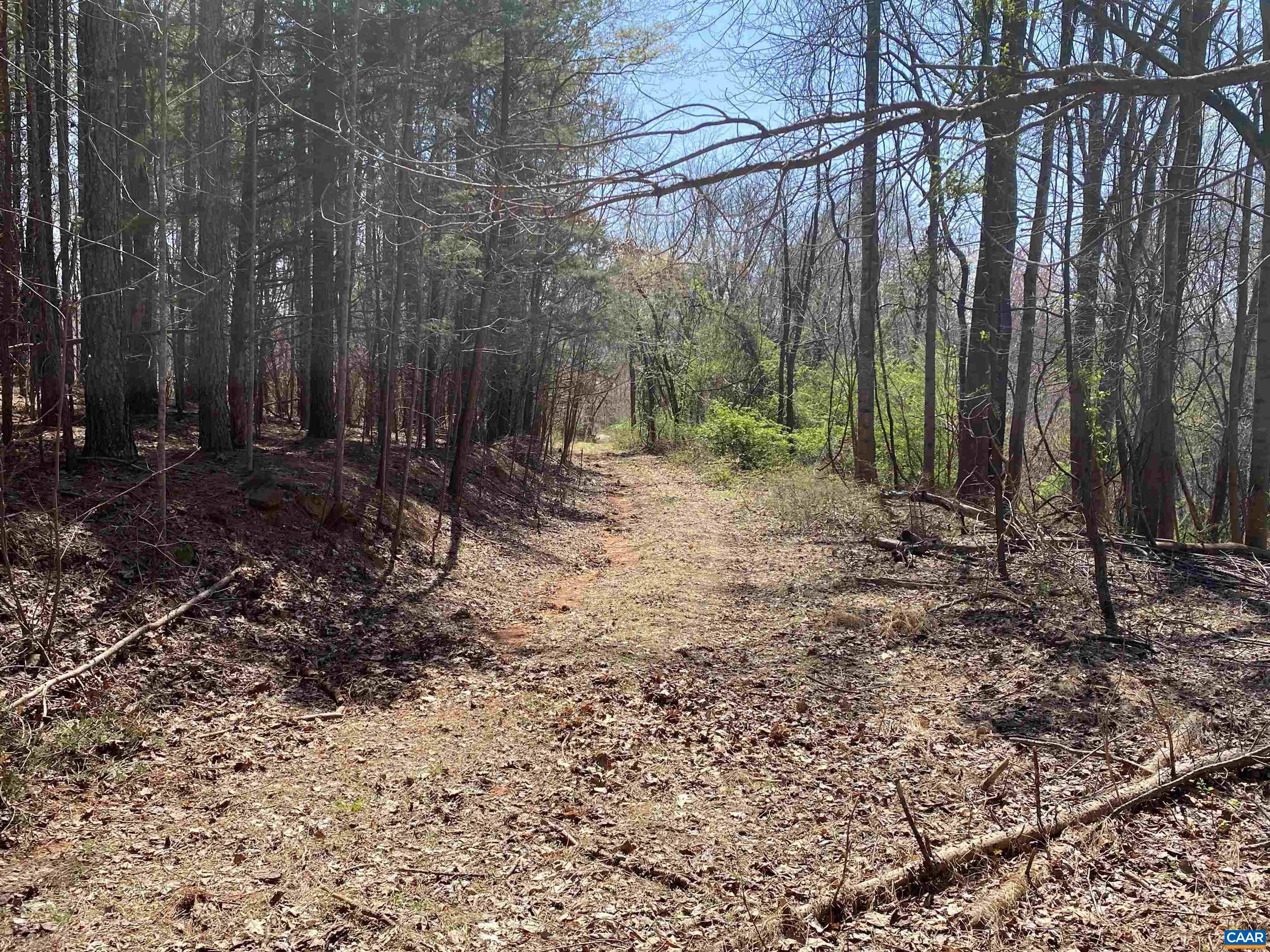 Roses Mill Road Amherst, VA 24521 - Photo 23 of 35 a view of a backyard with large trees
