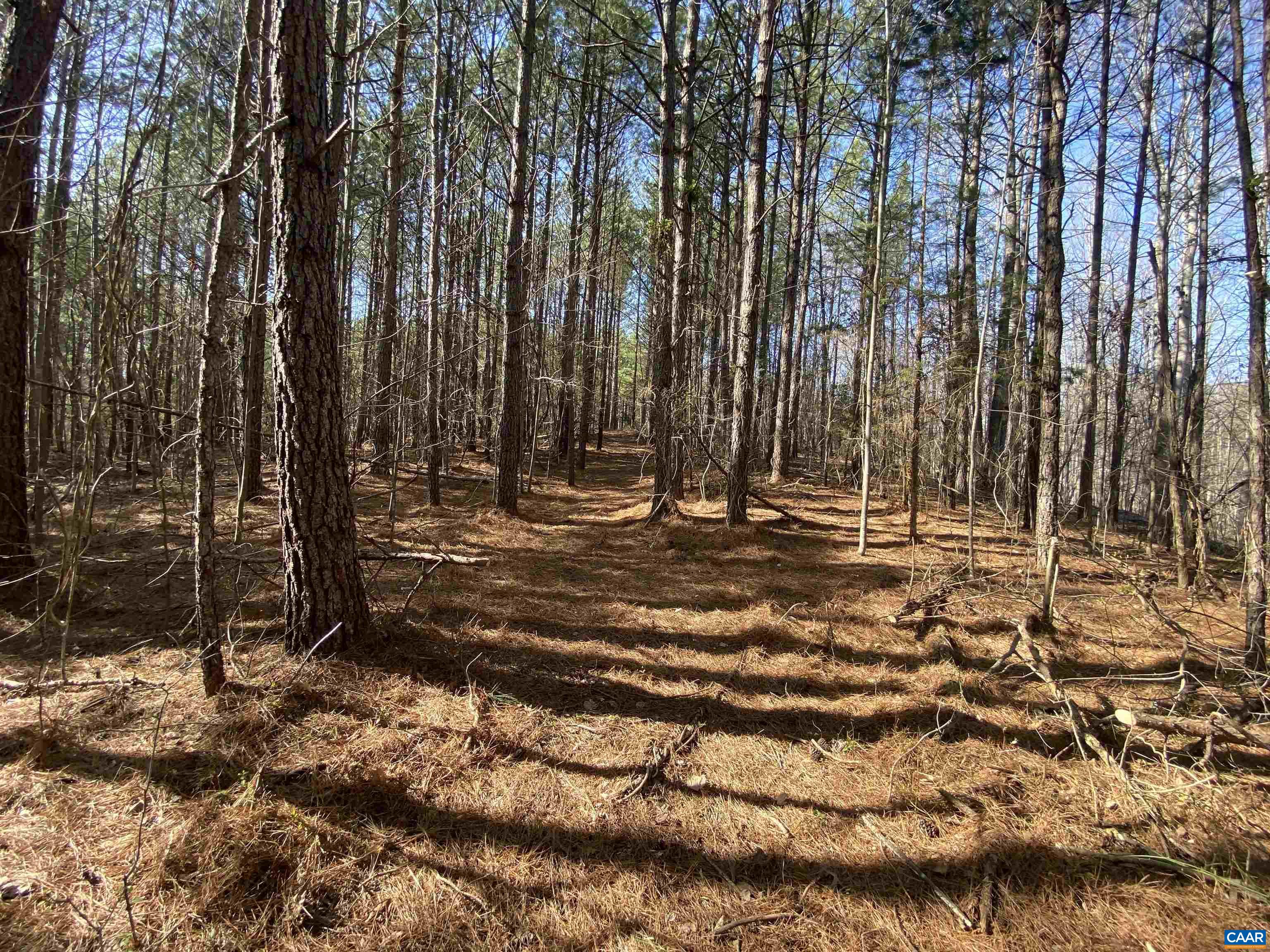 Roses Mill Road Amherst, VA 24521 - Photo 24 of 35 a view of outdoor space with trees