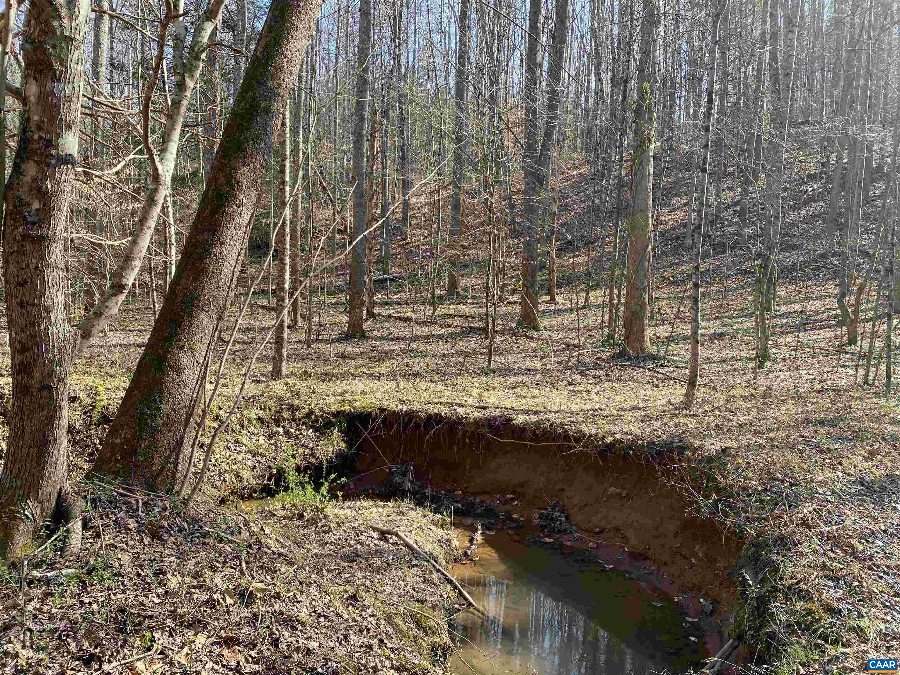 Roses Mill Road Amherst, VA 24521 - Photo 25 of 35 a view of swimming pool with a yard