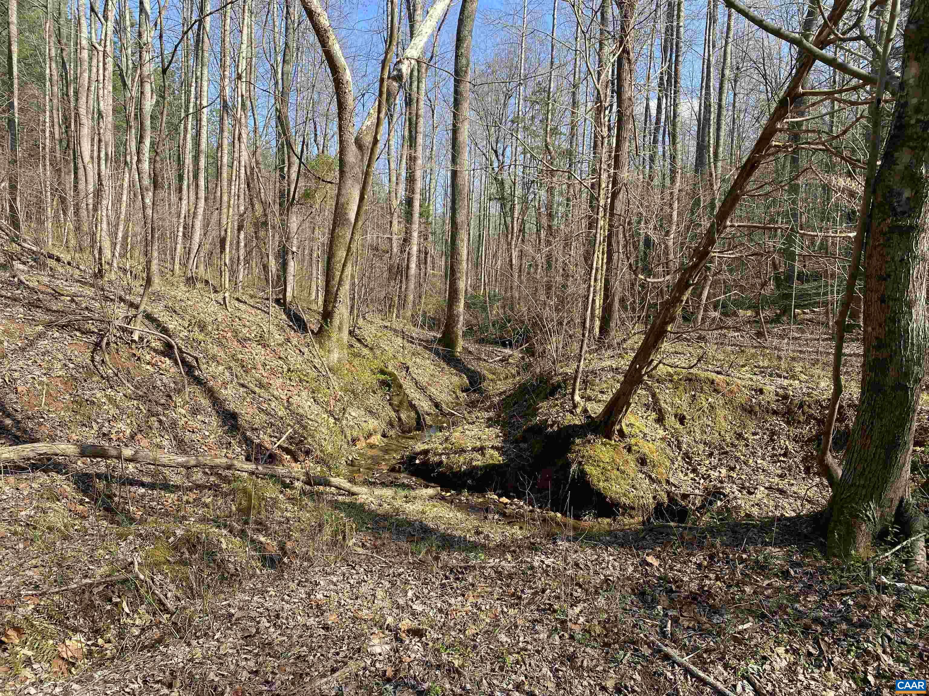 Roses Mill Road Amherst, VA 24521 - Photo 27 of 35 a close up of a white building with a yard
