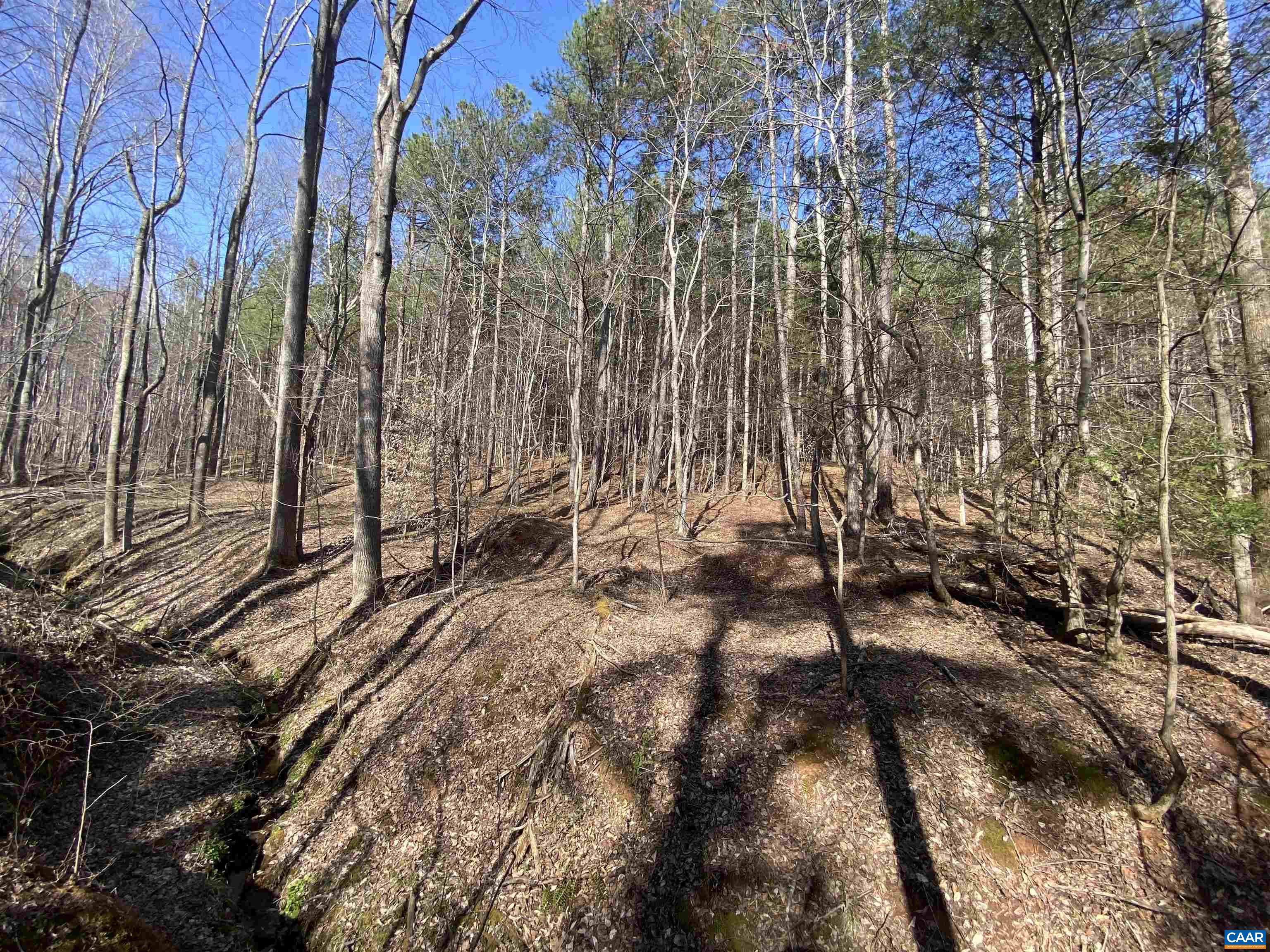 Roses Mill Road Amherst, VA 24521 - Photo 28 of 35 a view of a yard of the house