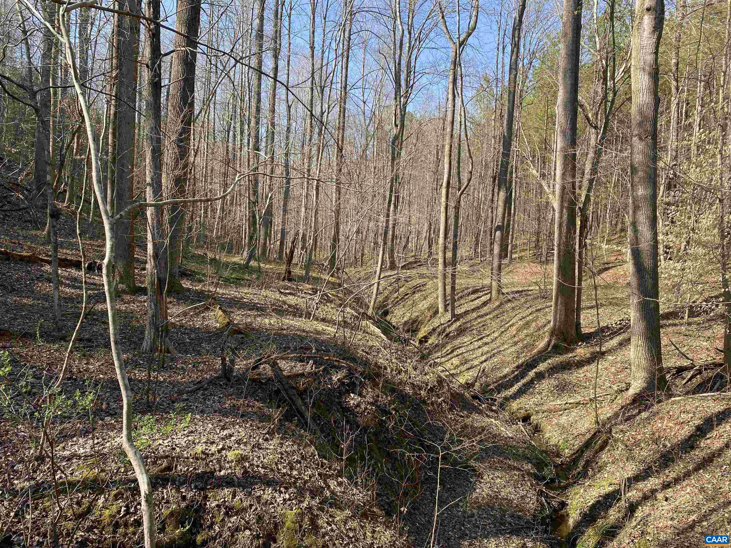 Roses Mill Road Amherst, VA 24521 - Photo 29 of 35 a backyard of a building with large trees