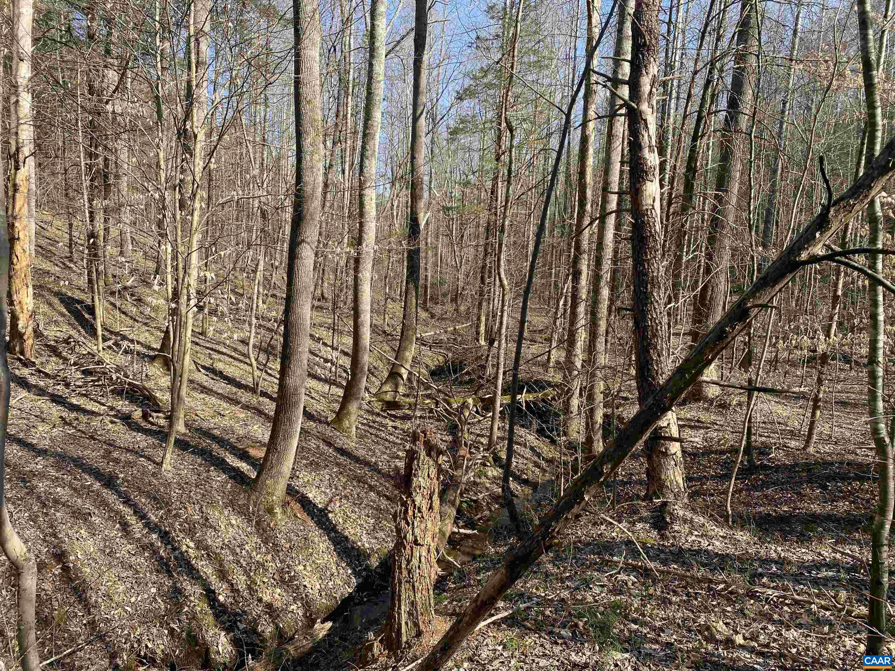 Roses Mill Road Amherst, VA 24521 - Photo 30 of 35 a view of a yard with plants and trees