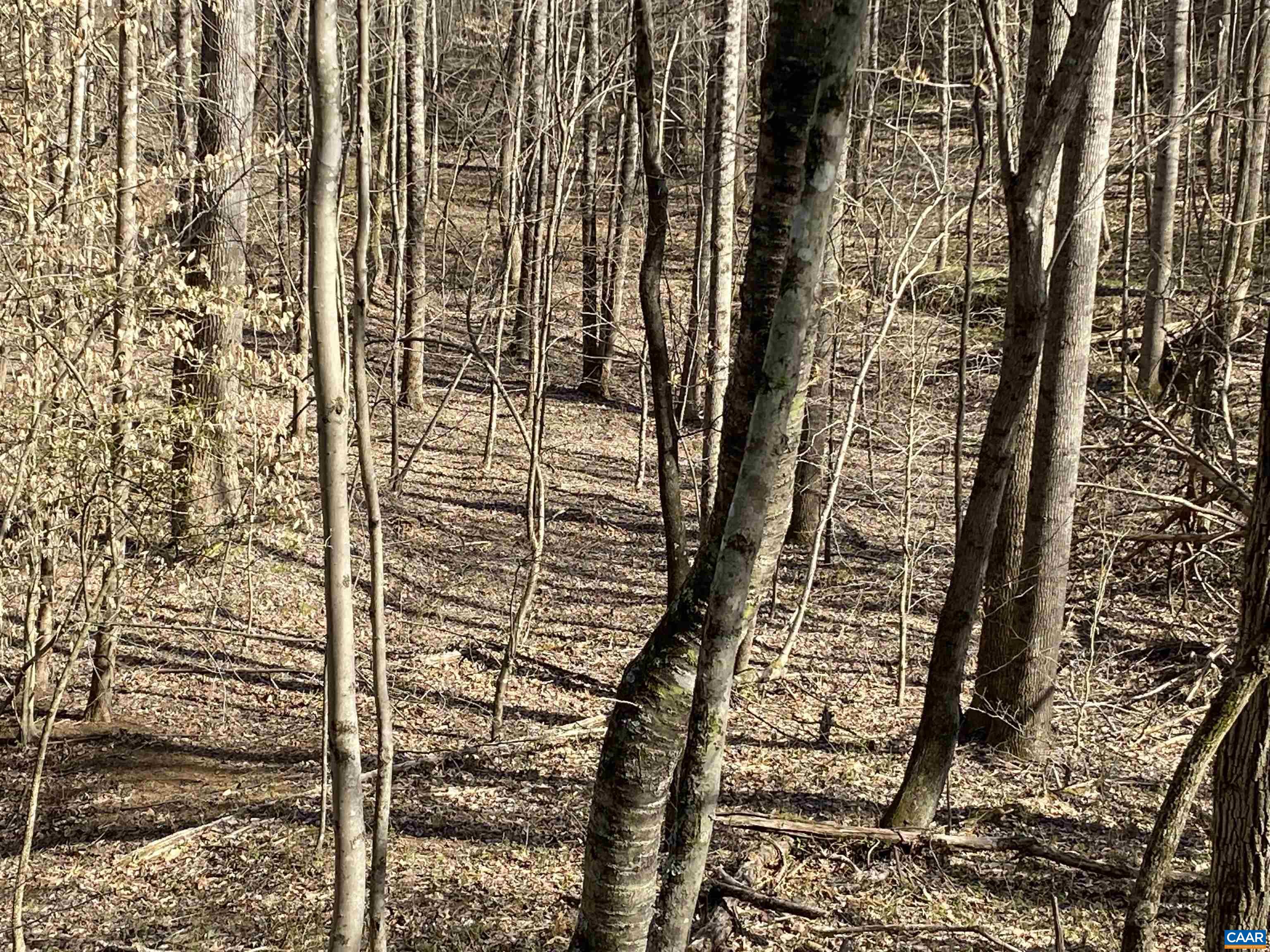 Roses Mill Road Amherst, VA 24521 - Photo 31 of 35 a bathroom with a shower