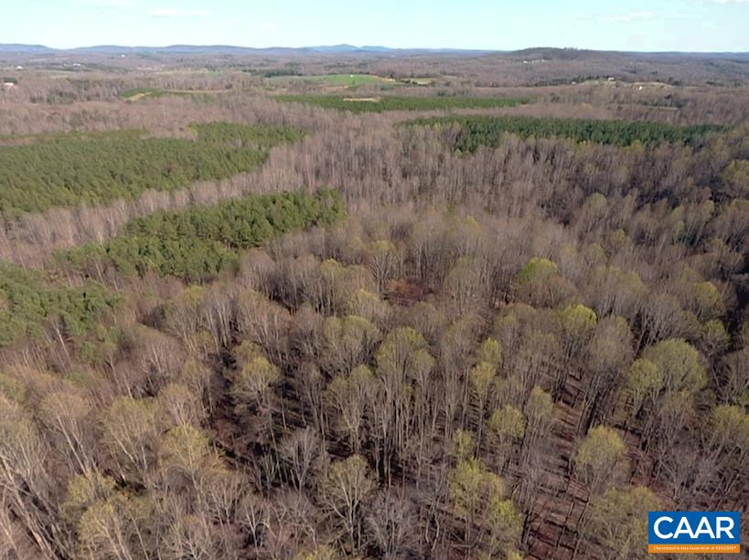 Roses Mill Road Amherst, VA 24521 - Photo 5 of 35 a view of mountain and tree