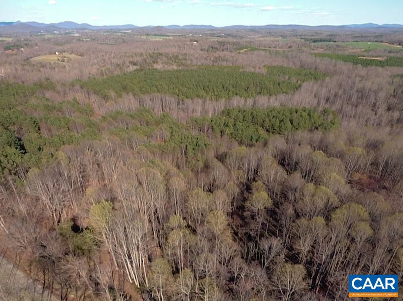 Roses Mill Road Amherst, VA 24521 - Photo 8 of 35 a view of a lush green hillside and a houses