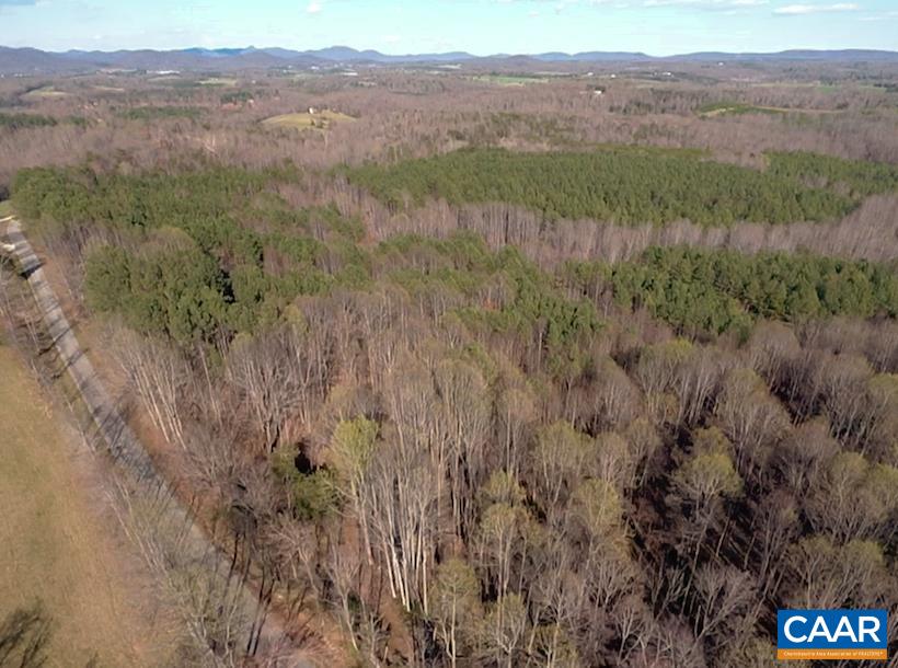 Roses Mill Road Amherst, VA 24521 - Photo 9 of 35 a view of a lush green field with trees in the background