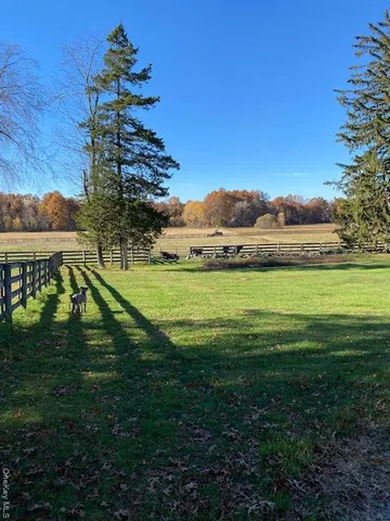 a view of a field with an ocean