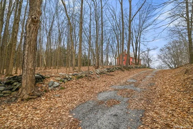 a view of swimming pool with a garden