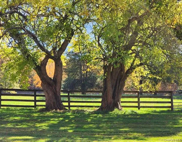 a view of road and trees