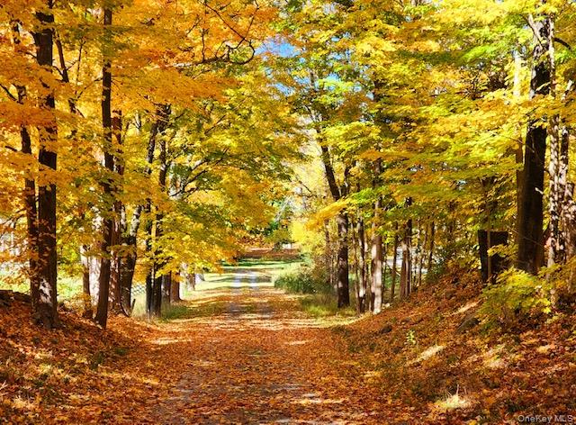 948 Craigville Road Chester, NY 10918 - Photo 39 of 42 a view of road and trees