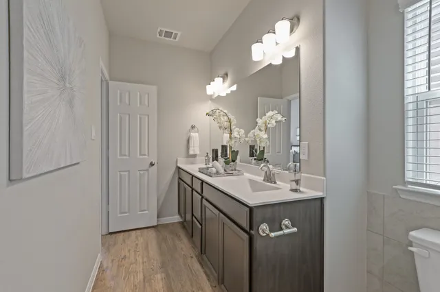 a bathroom with a sink vanity and a mirror