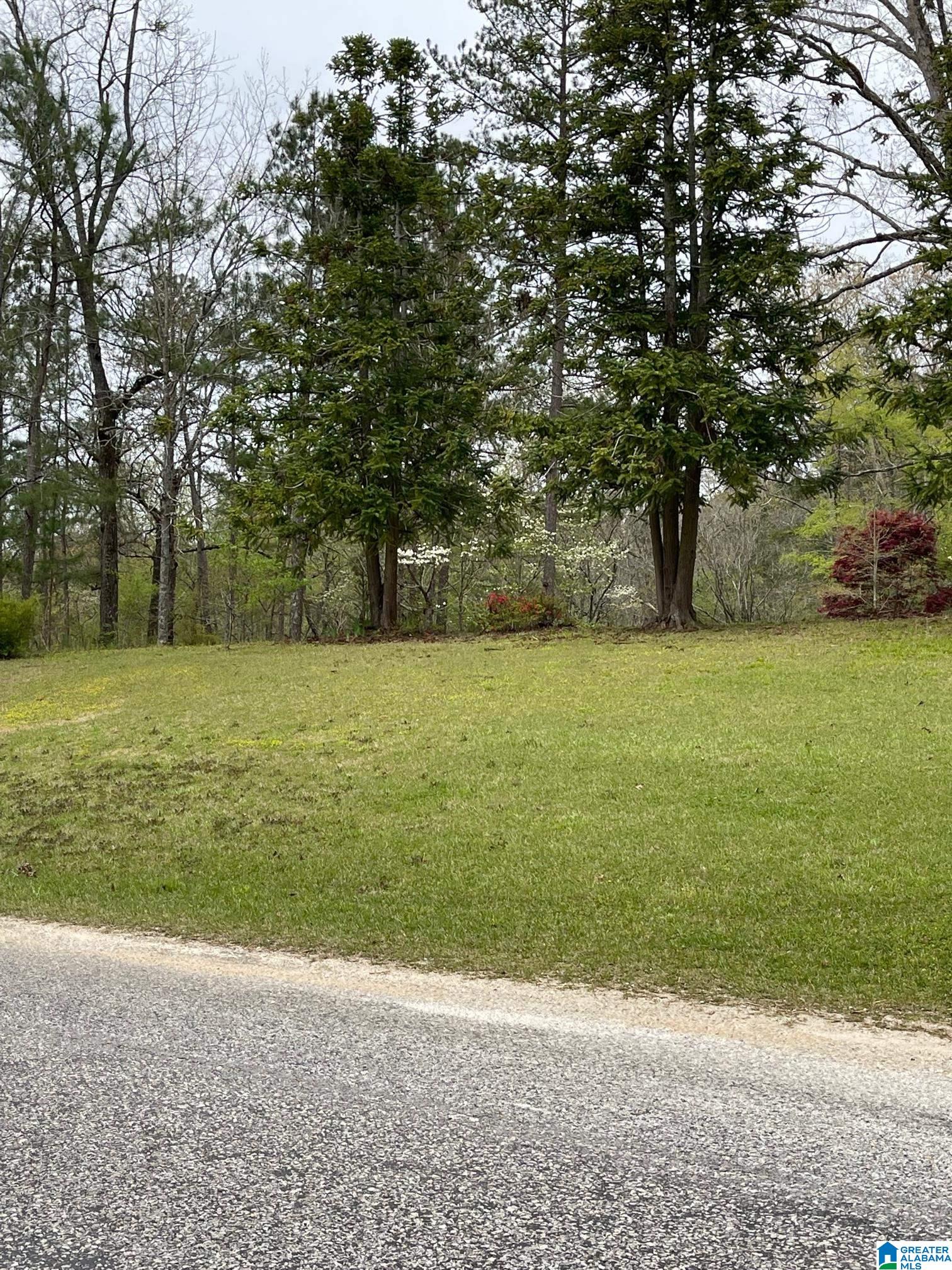 1035 County Road 15 Heflin, AL 36264 - Photo 21 of 33