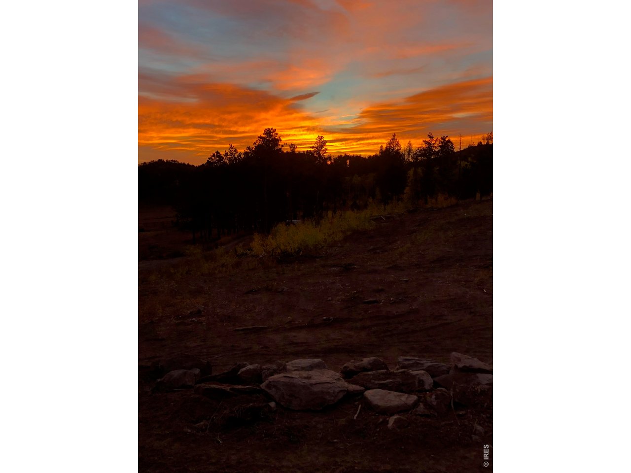 892 Stratton Park Road Bellvue, CO 80512 - Photo 26 of 27 a view of a lake
