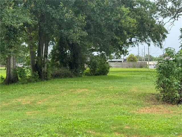 0 Oak Tree Road Belle Chasse, LA 70037 - Photo 4 of 4