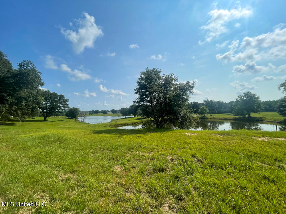 Lot 11 Conner Stringer Drive Lucedale, MS 39452 - Photo 32 of 54 IMG_2302