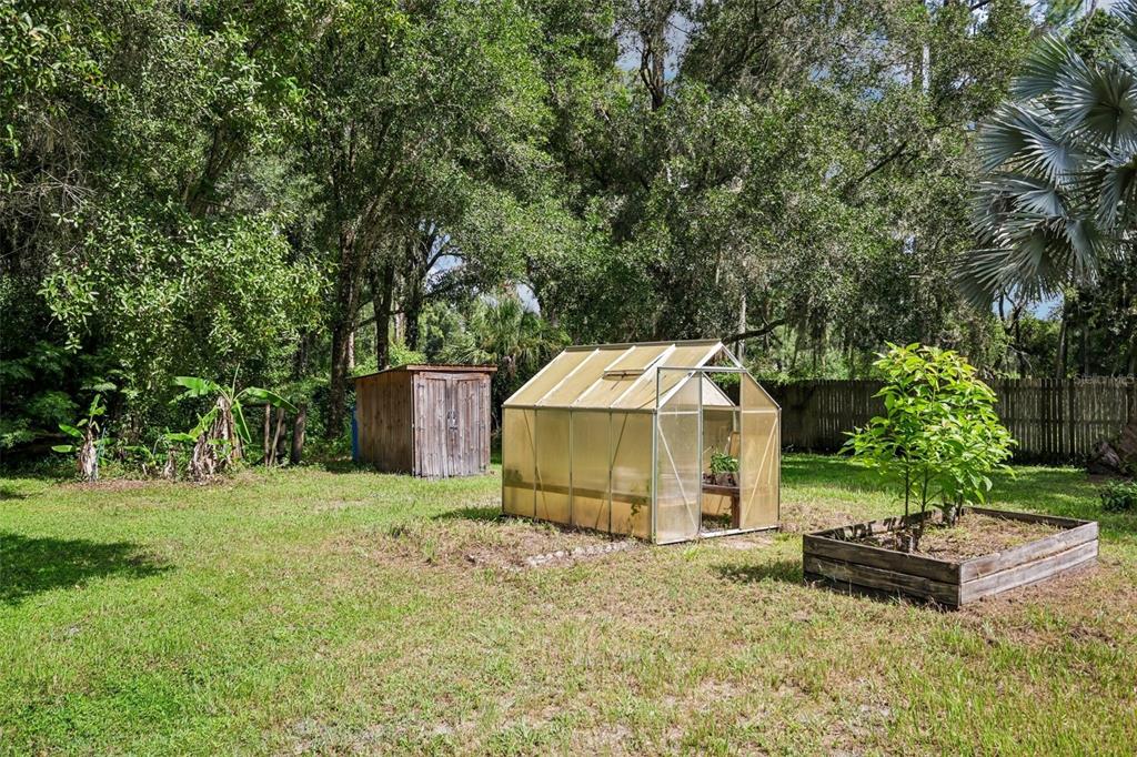 33245 Mandrake Road Wesley Chapel, FL 33543 - Photo 29 of 43 Gallery Image 29