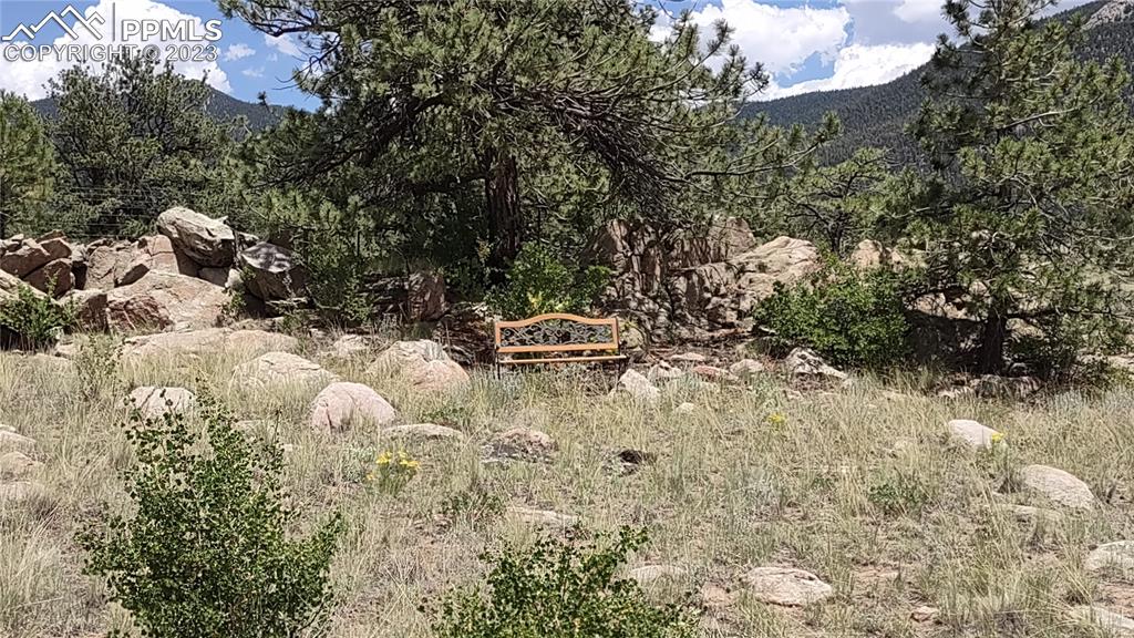 7228 Boulder Road Lake George, CO 80827 - Photo 28 of 35 a backyard of a house with lots of green space