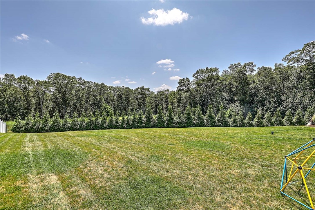 1 West Farm Road Smithfield, RI 02917 - Photo 50 of 50 Back yard view from end of lot