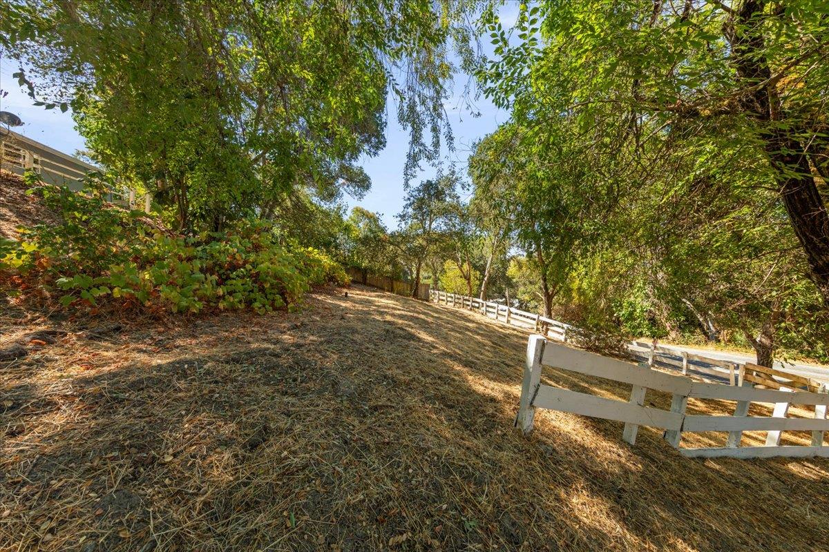 1300 Amesti Road Watsonville, CA 95076 - Photo 32 of 34 a view of a yard with plants and large trees