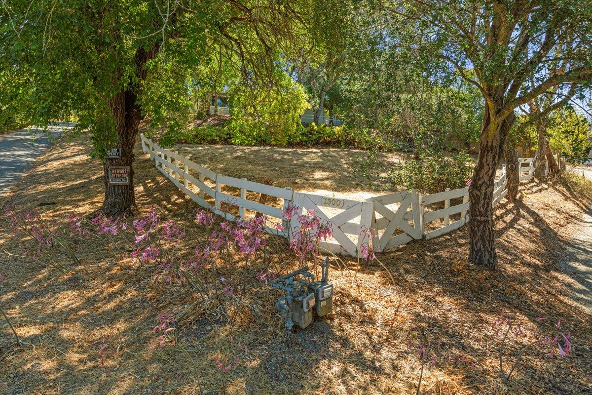 1300 Amesti Road Watsonville, CA 95076 - Photo 33 of 34 a view of a yard with a tree