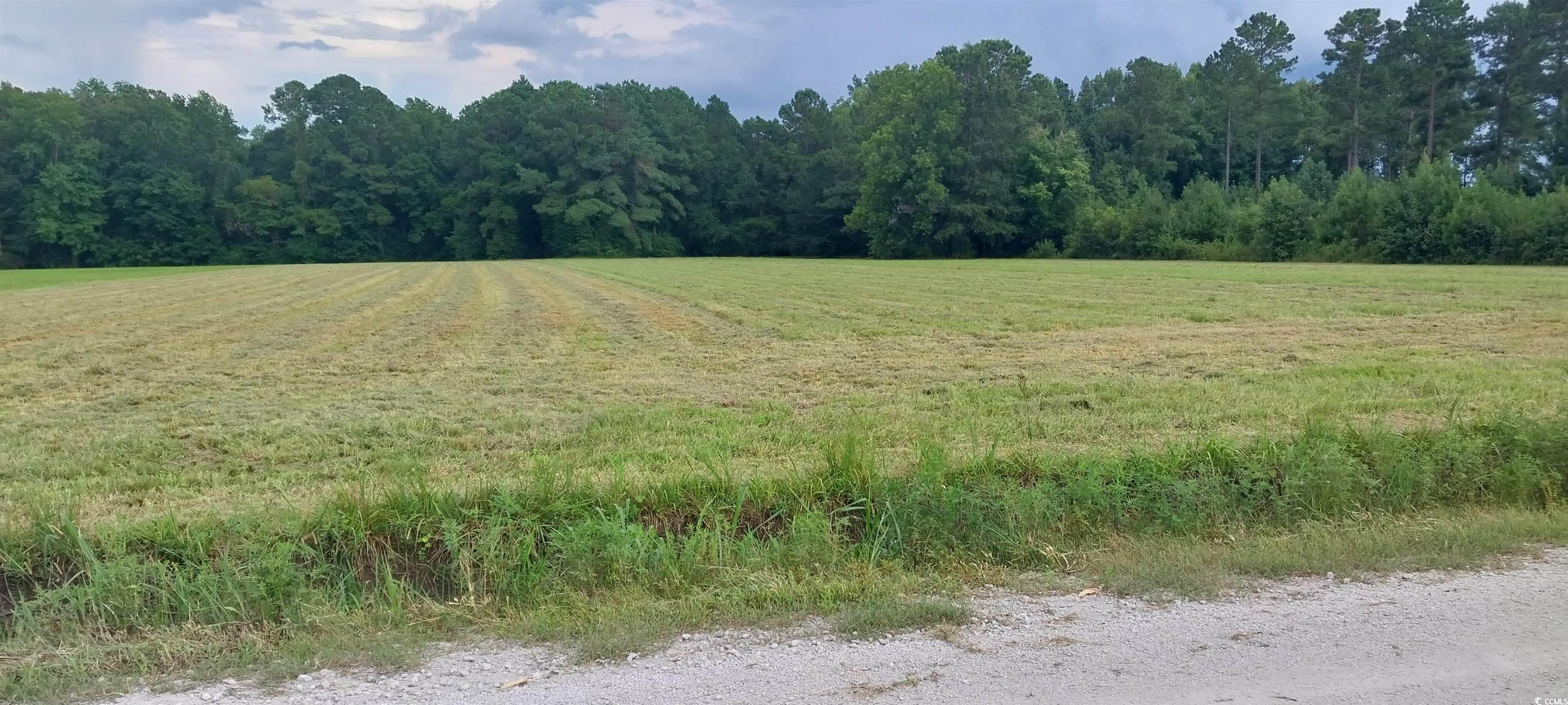 View of woods featuring a view of rural / pastoral