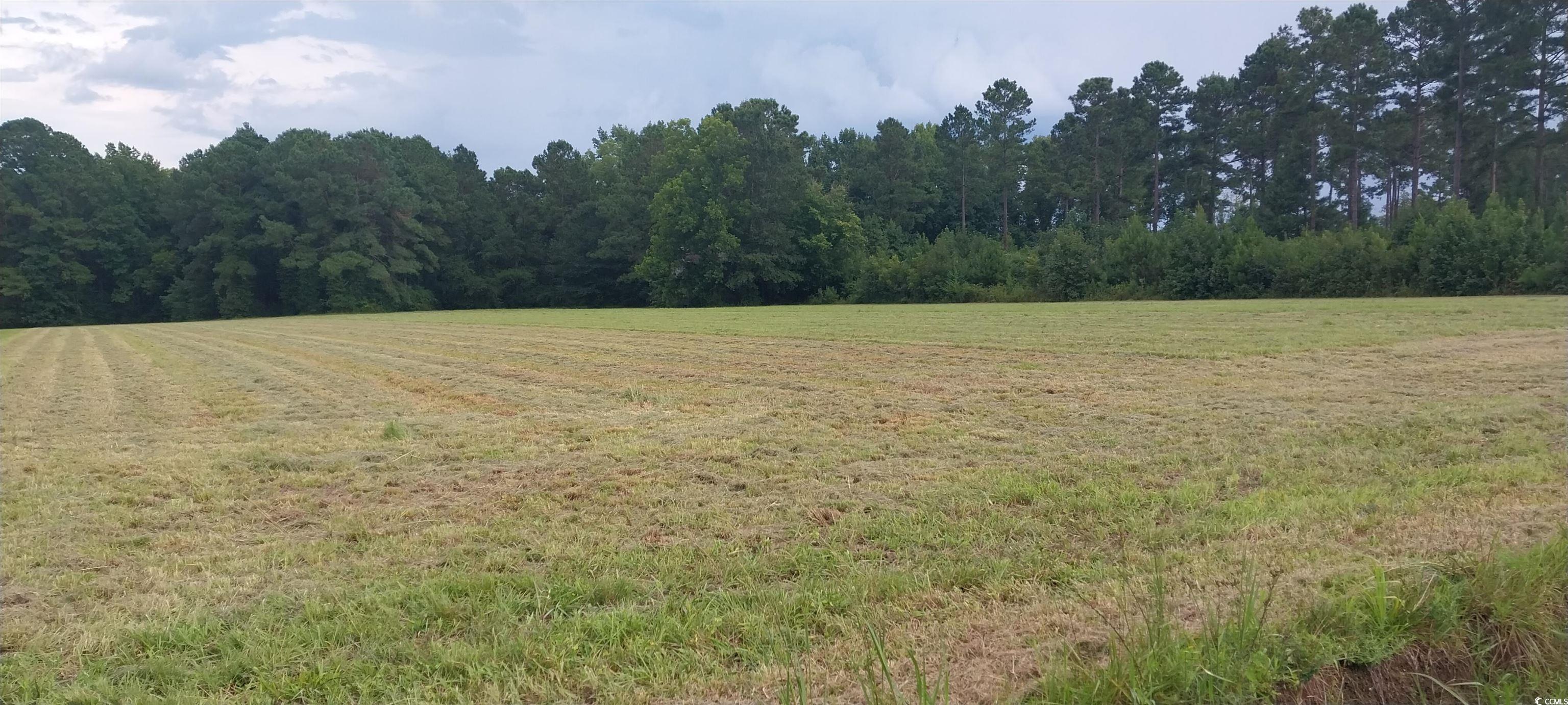 Lot 1 Wigley Road Loris, SC 29569 - Photo 2 of 3 View of tree filled area with a rural view