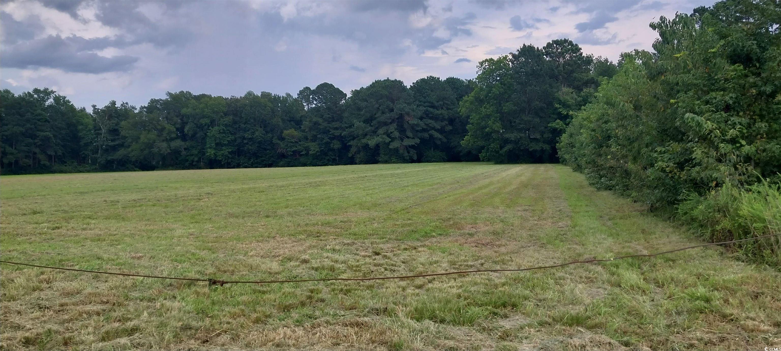 Lot 1 Wigley Road Loris, SC 29569 - Photo 3 of 3 View of tree filled area featuring a view of rural / pastoral area