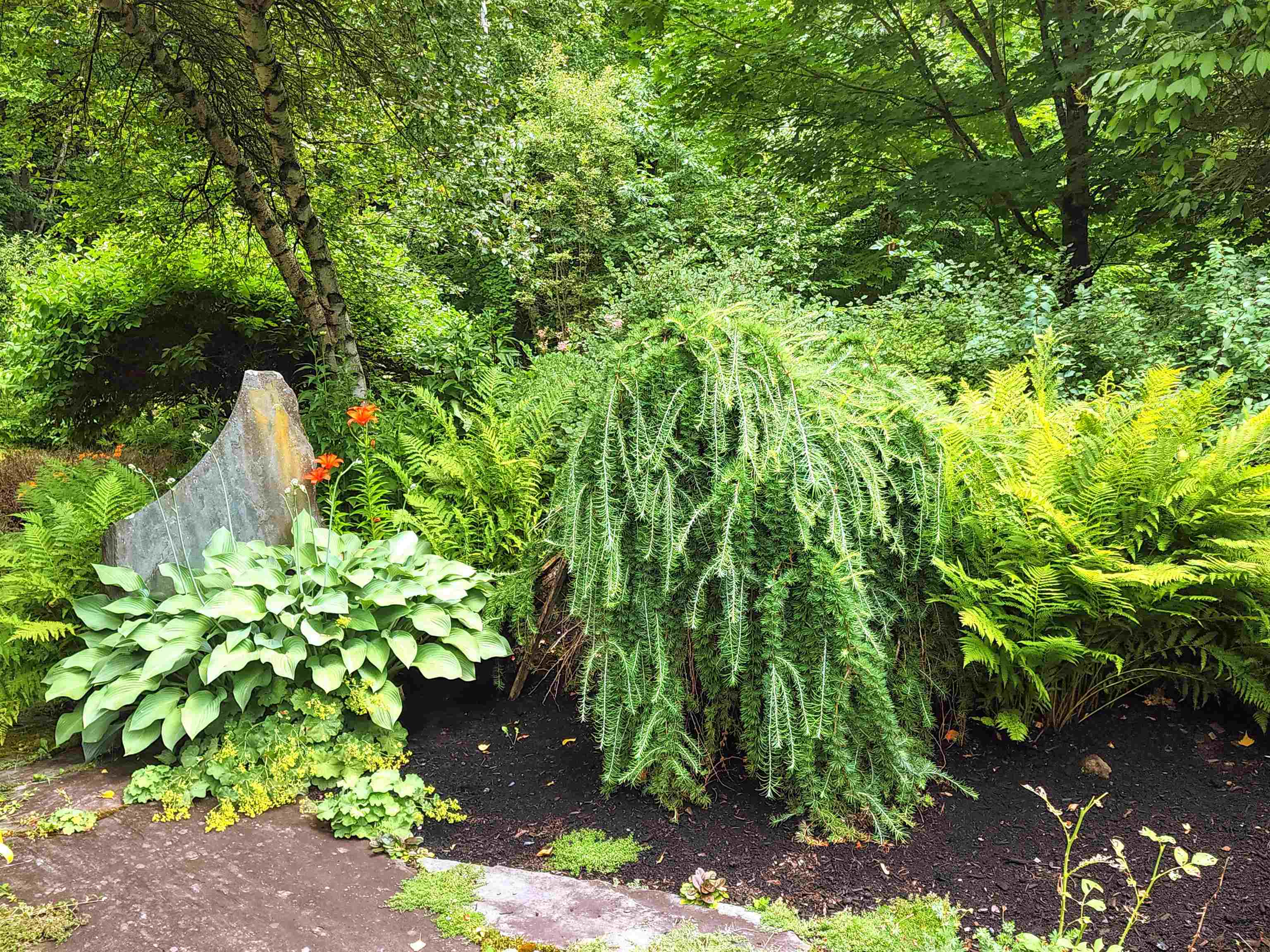 664 Ruby Raymond Road, Unit 50 Waterbury, VT 05677 - Photo 34 of 40 Gallery Image 34