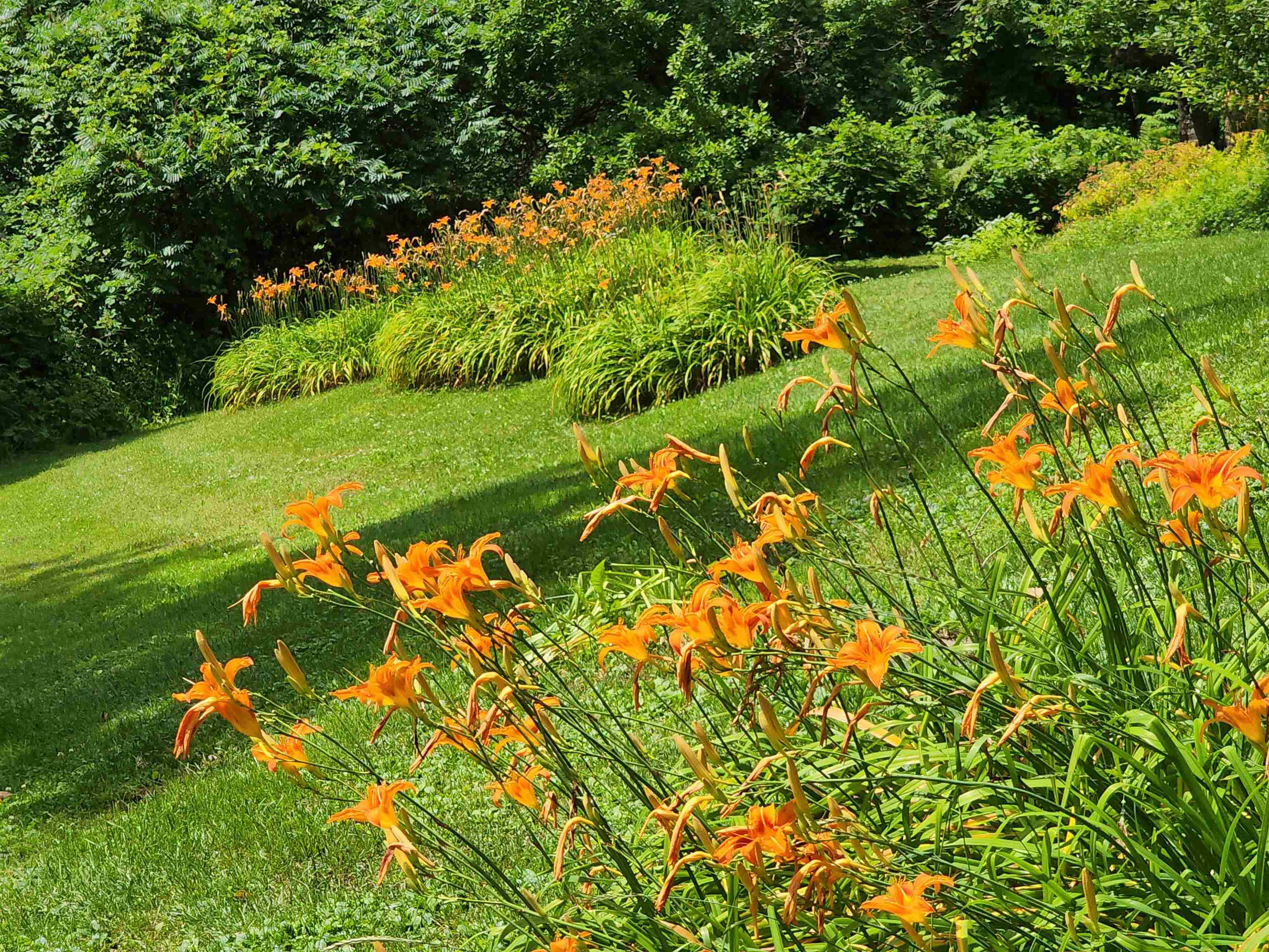 664 Ruby Raymond Road, Unit 50 Waterbury, VT 05677 - Photo 4 of 40 Gallery Image 4