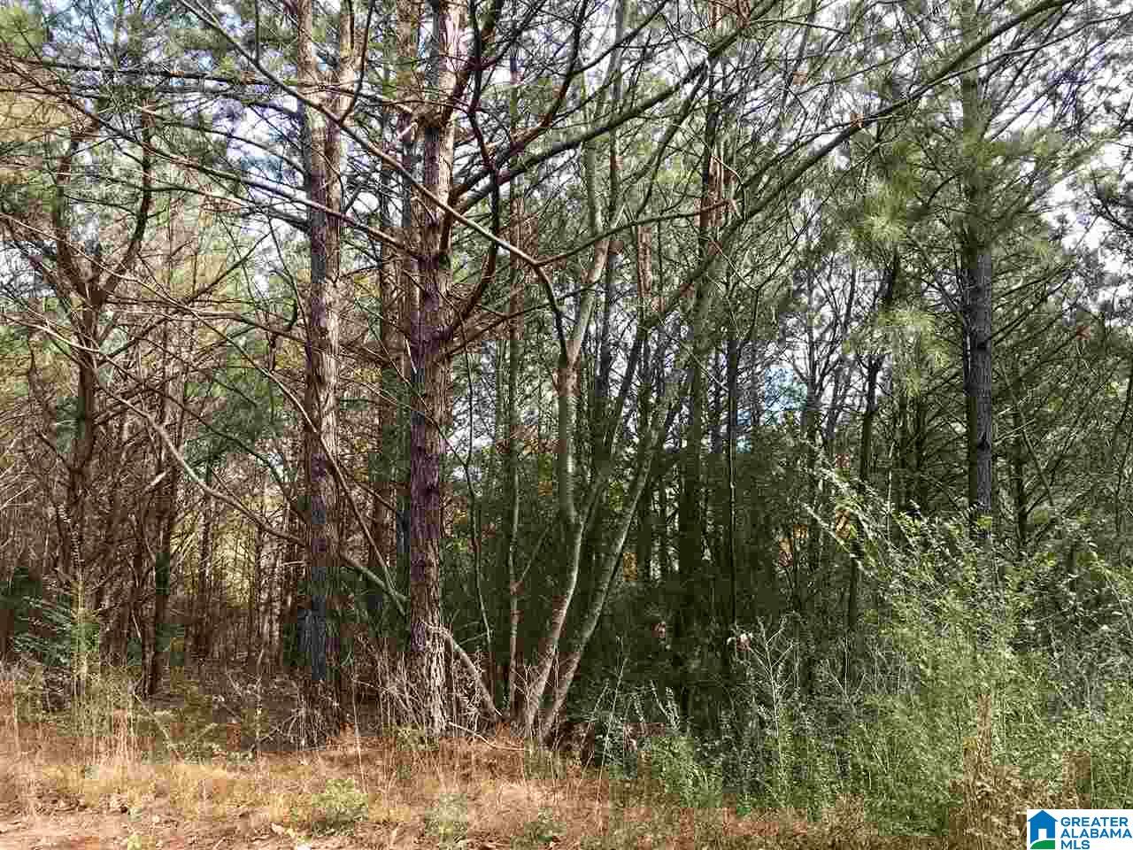 0 Bradford Place, Unit 30 Decatur, AL 35603 - Photo 3 of 4