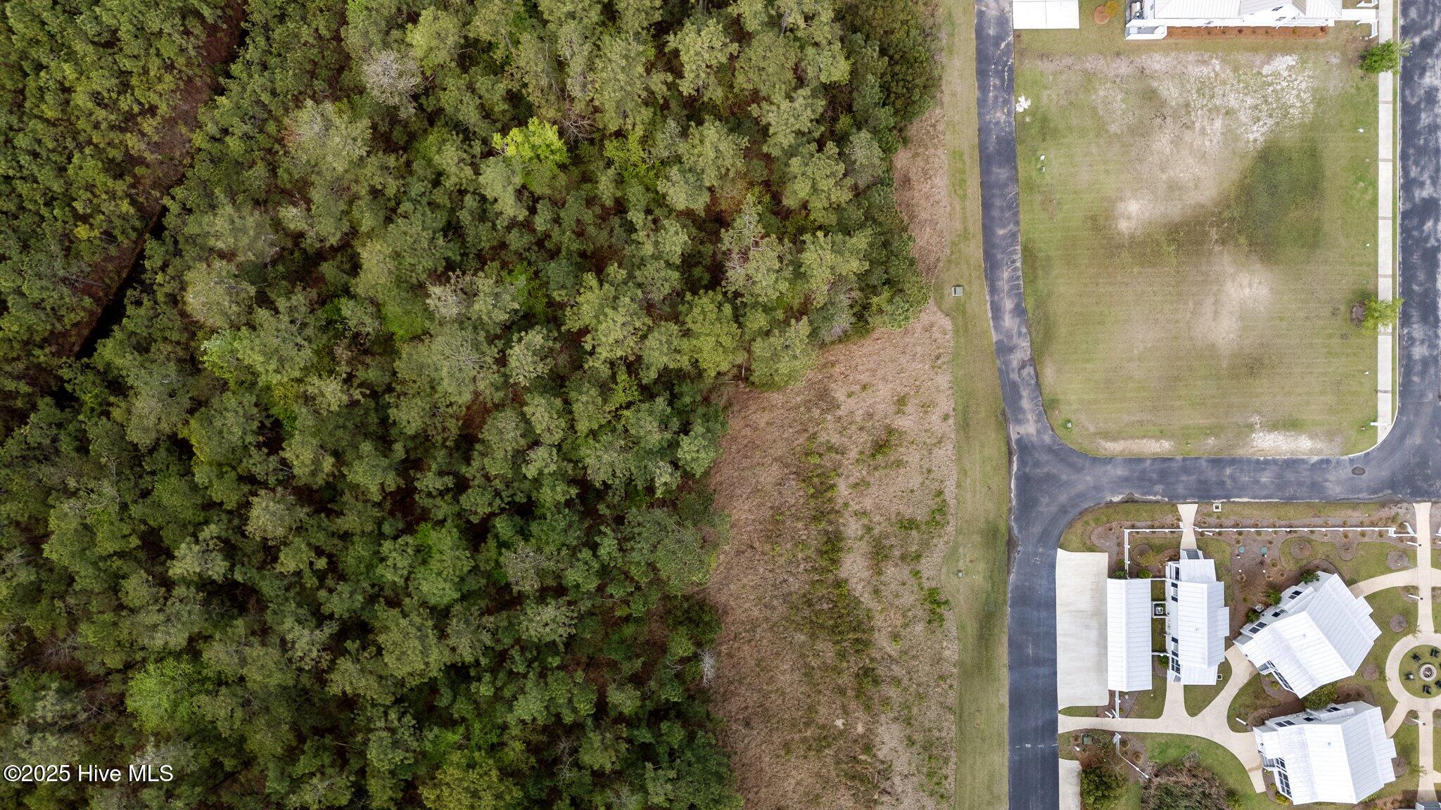 98 Boathouse Road Oriental, NC 28571 - Photo 16 of 55 5-web-or-mls-DJI_20250408134542_0026_D