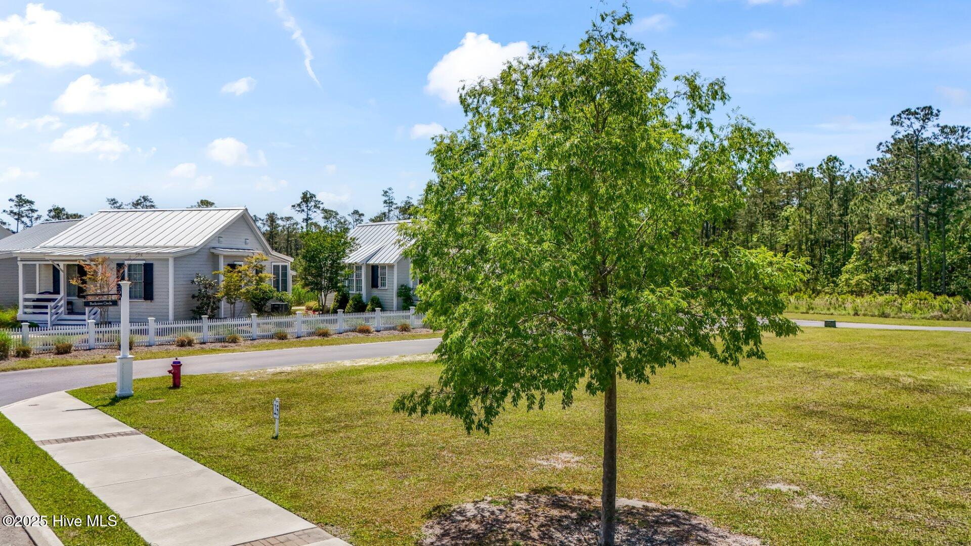 98 Boathouse Road Oriental, NC 28571 - Photo 9 of 55 DJI_20250429131951_0284_D (Large)