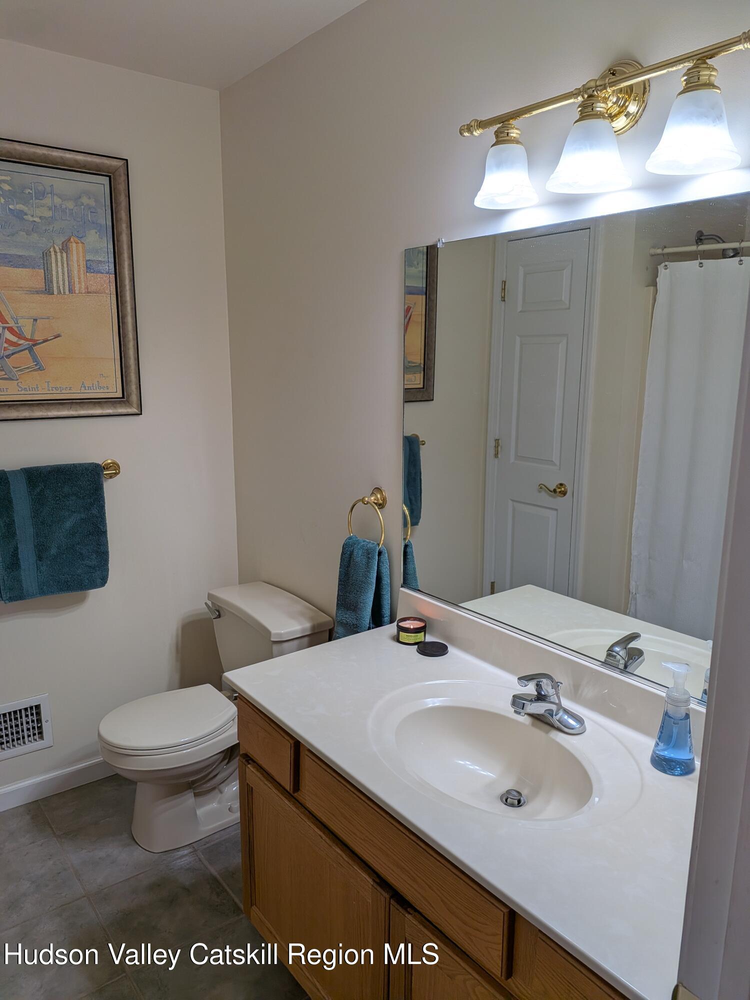 513 South Mountain Road Gardiner, NY 12525 - Photo 15 of 63 a bathroom with a sink toilet and mirror
