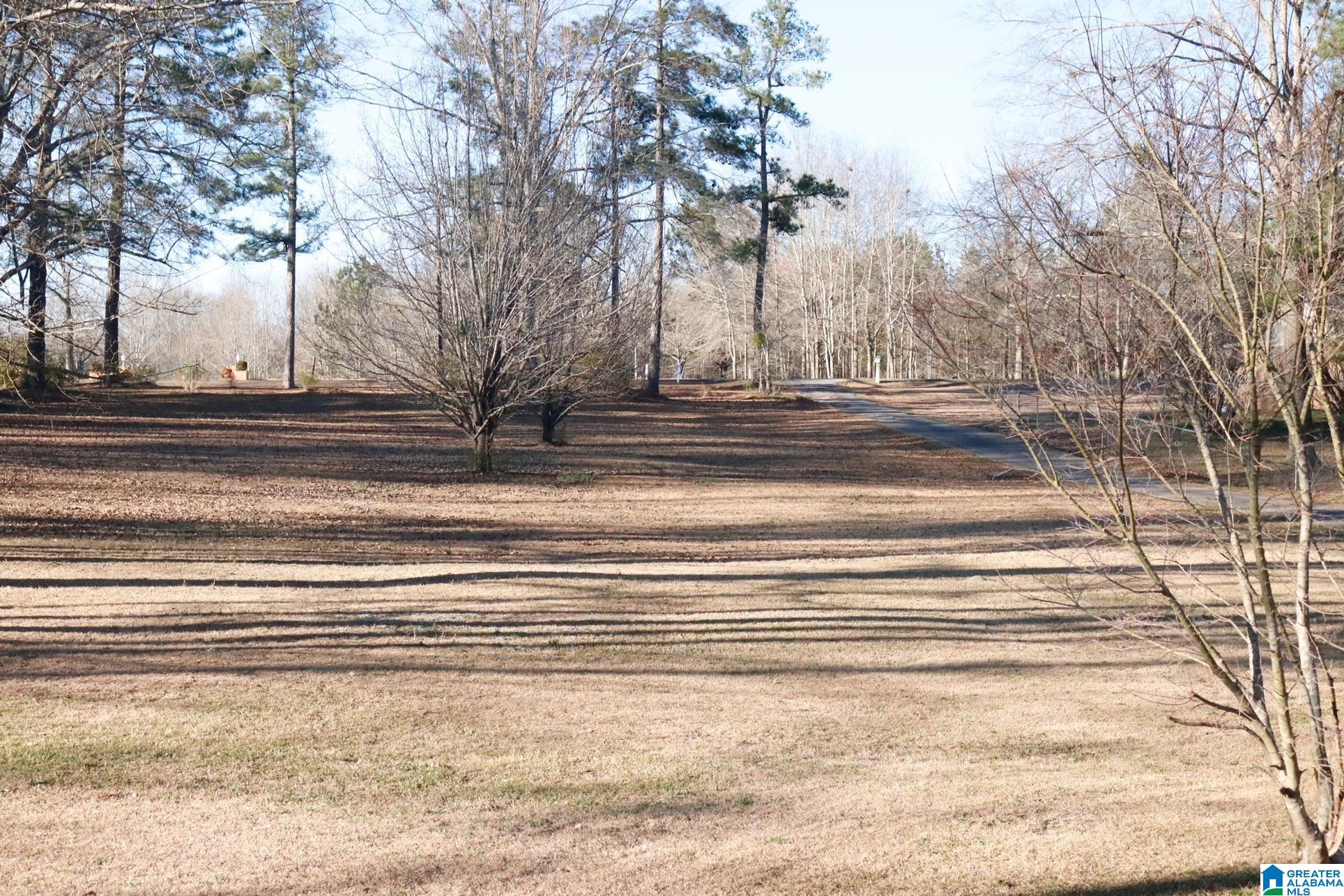 950 County Road 44 Jemison, AL 35085 - Photo 3 of 18