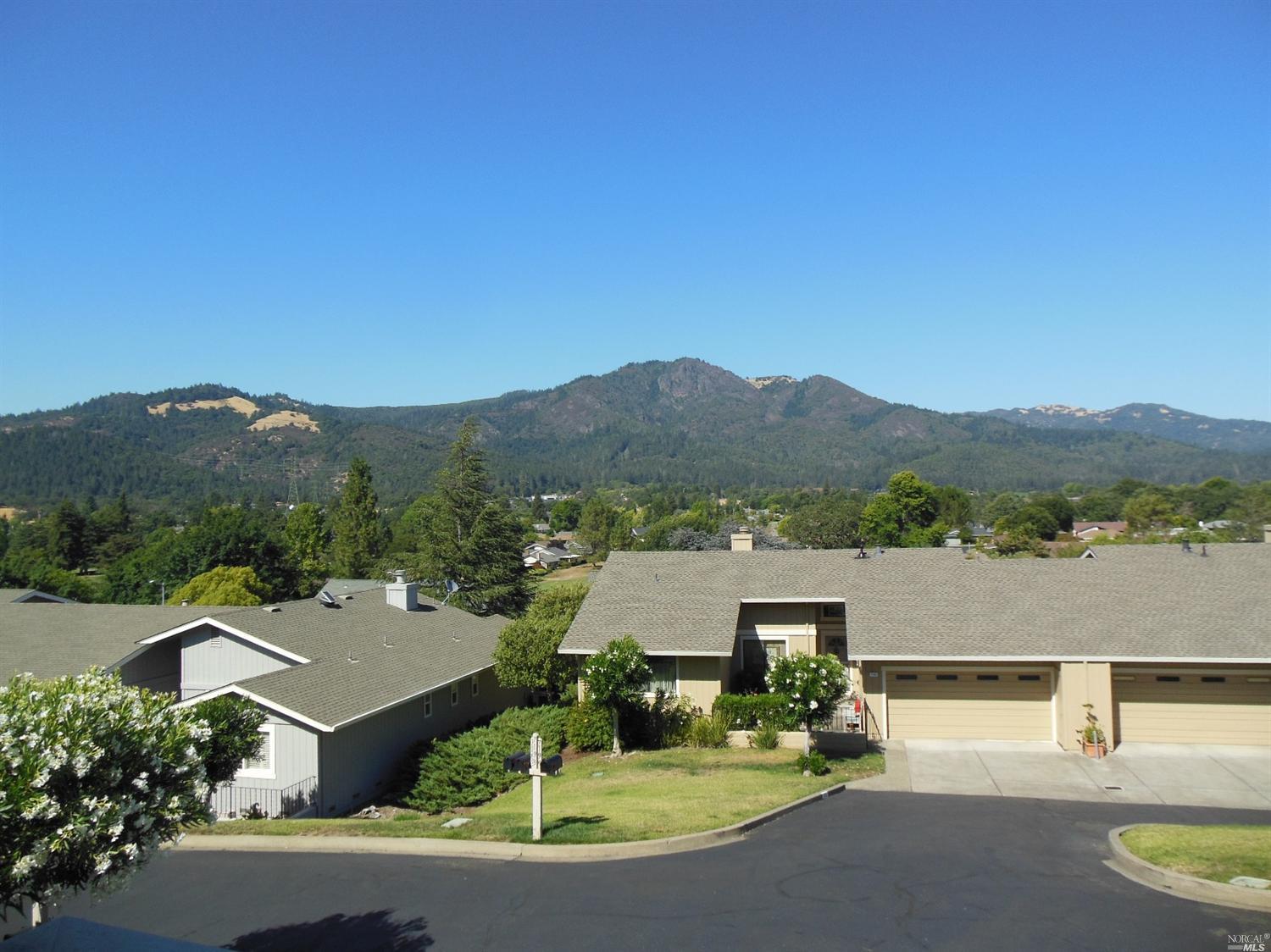 an aerial view of a house with yard and mountain view in back