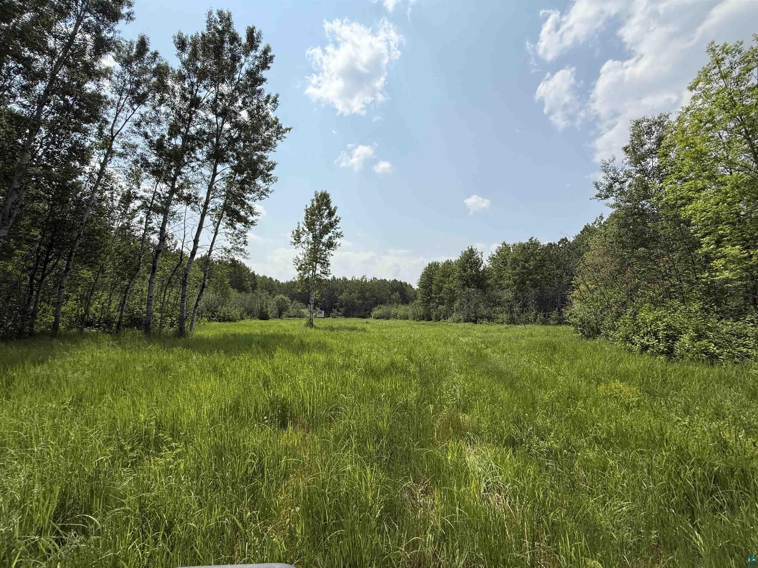 Tbd Samuelson Road Angora, MN 55703 - Photo 10 of 43 View of tree filled area