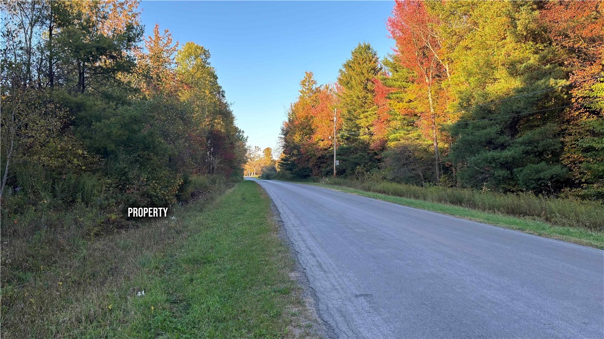 249 White Road Parish, NY 13131 - Photo 12 of 18