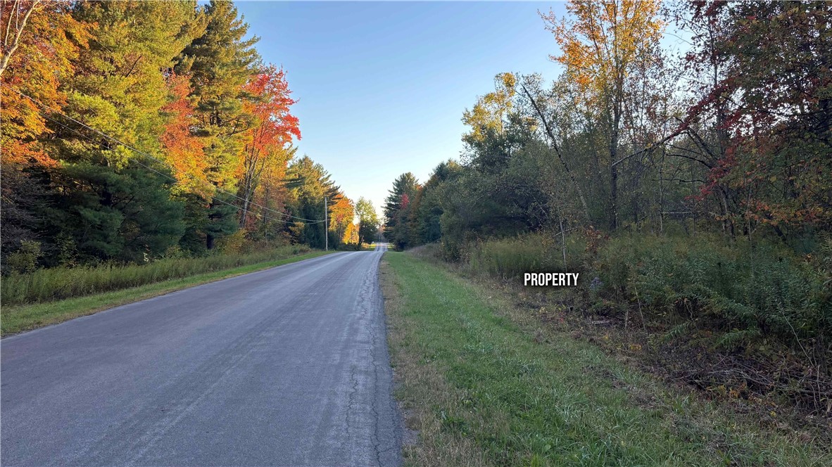 249 White Road Parish, NY 13131 - Photo 13 of 18