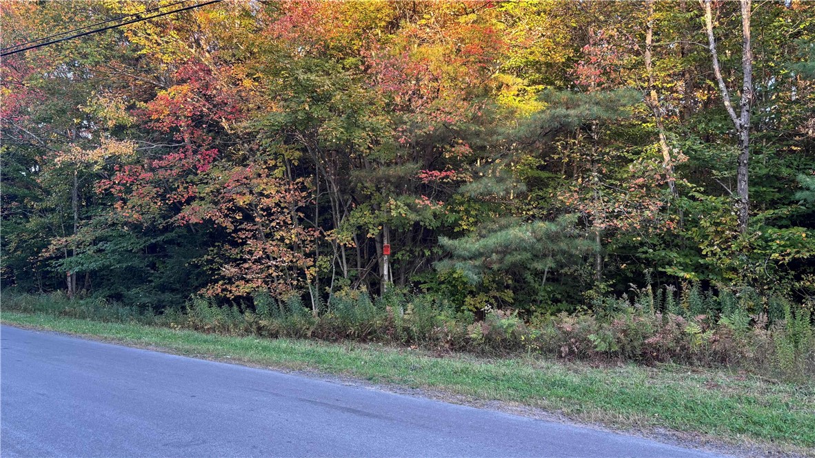 249 White Road Parish, NY 13131 - Photo 15 of 18